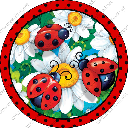 3 Lady Bugs meeting on a Daisy Flower with Red Black Polka Dot Border Wreath Sign-Sublimation-Spring-Metal Sign