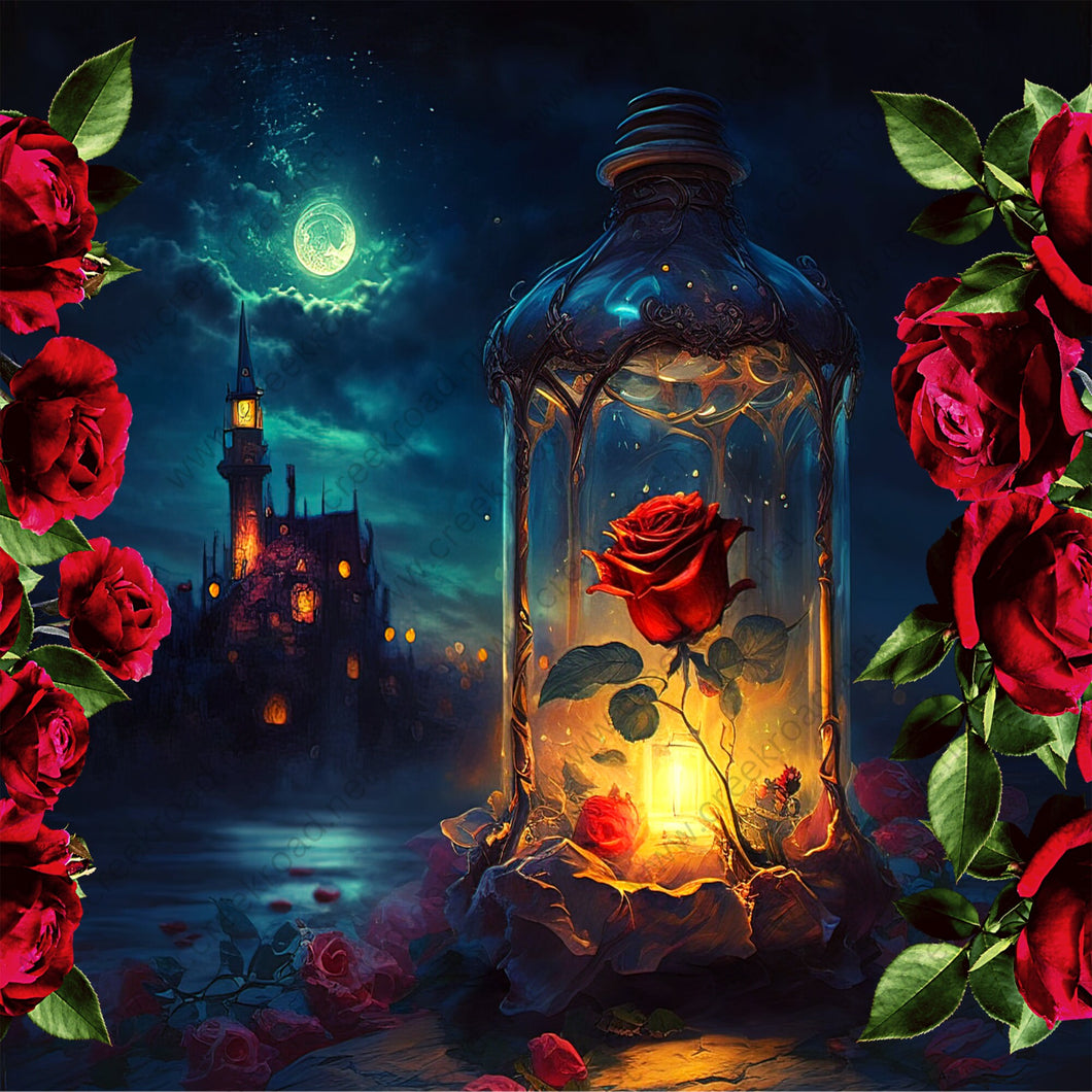 Roses of the Midnight Sky in Lantern 10